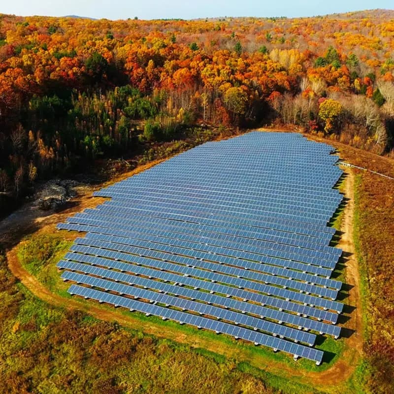 Ground-mounted solar array in an autumn forest clearing